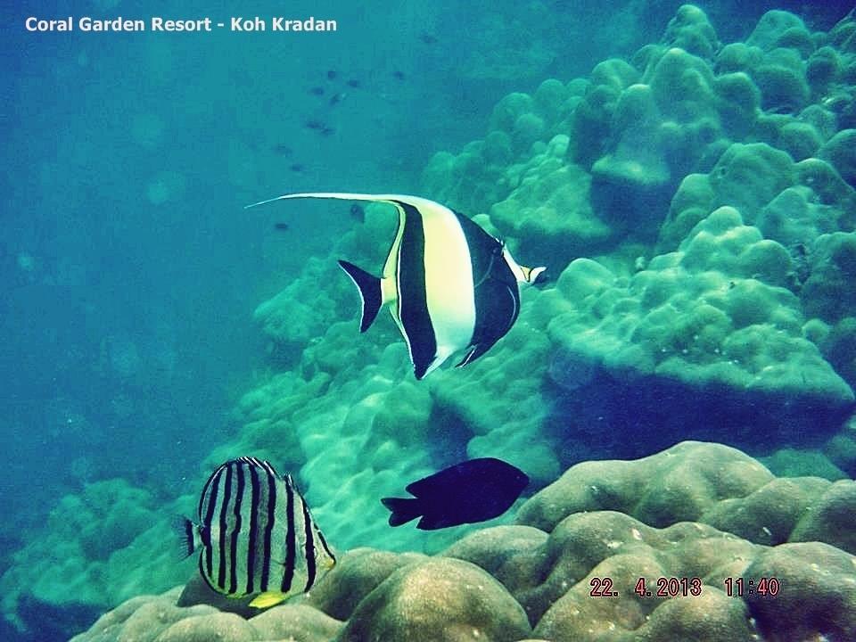Coral Garden Resort Ko Kradan Exterior foto